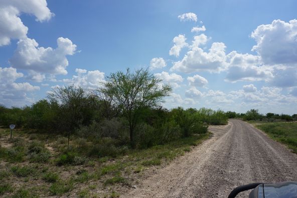 Ranch Land with Minerals: Ranch Rd 7918B, Laredo, TX 78046